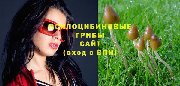 spice Балабаново