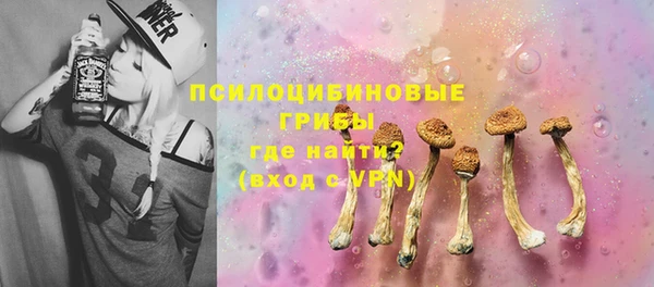 spice Балабаново
