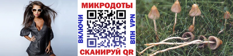 Псилоцибиновые грибы MAGIC MUSHROOMS  цены   Лахденпохья 